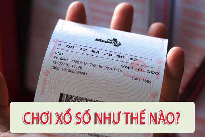 Cách chơi xổ số dễ hiểu và hiệu quả cho người mới bắt đầu