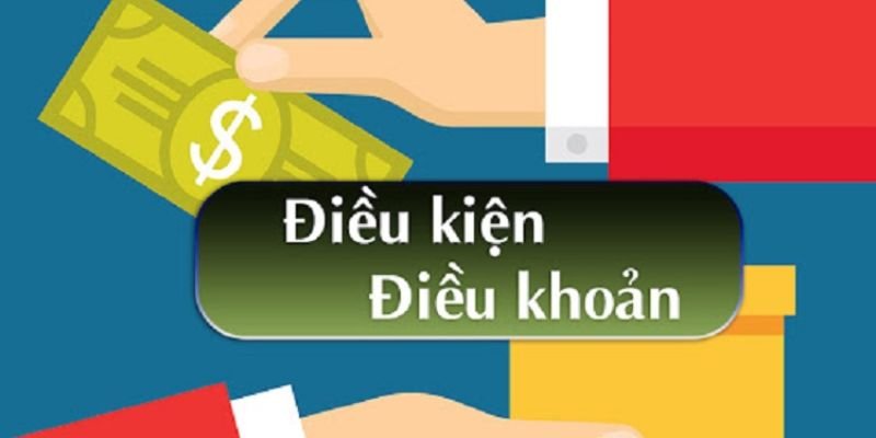 Những lưu ý khi cập nhật thông tin điều kiện và điều khoản