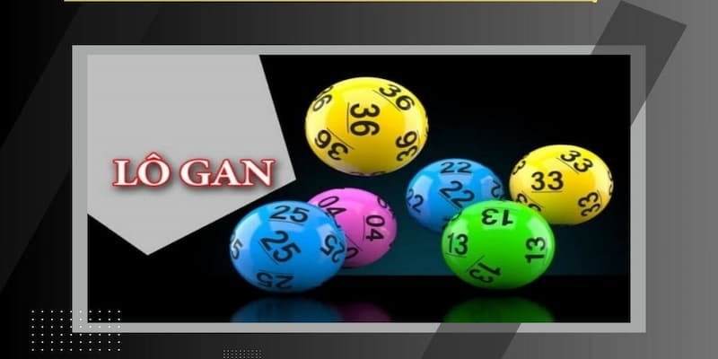 Phân loại lô gan phổ biến hiện nay